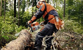 Petrol chain saw, forest tools, garden equipments, stihl coimbatore